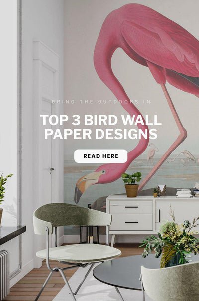 Bring the Outdoors In With Our Top 3 Bird Wallpaper Designs