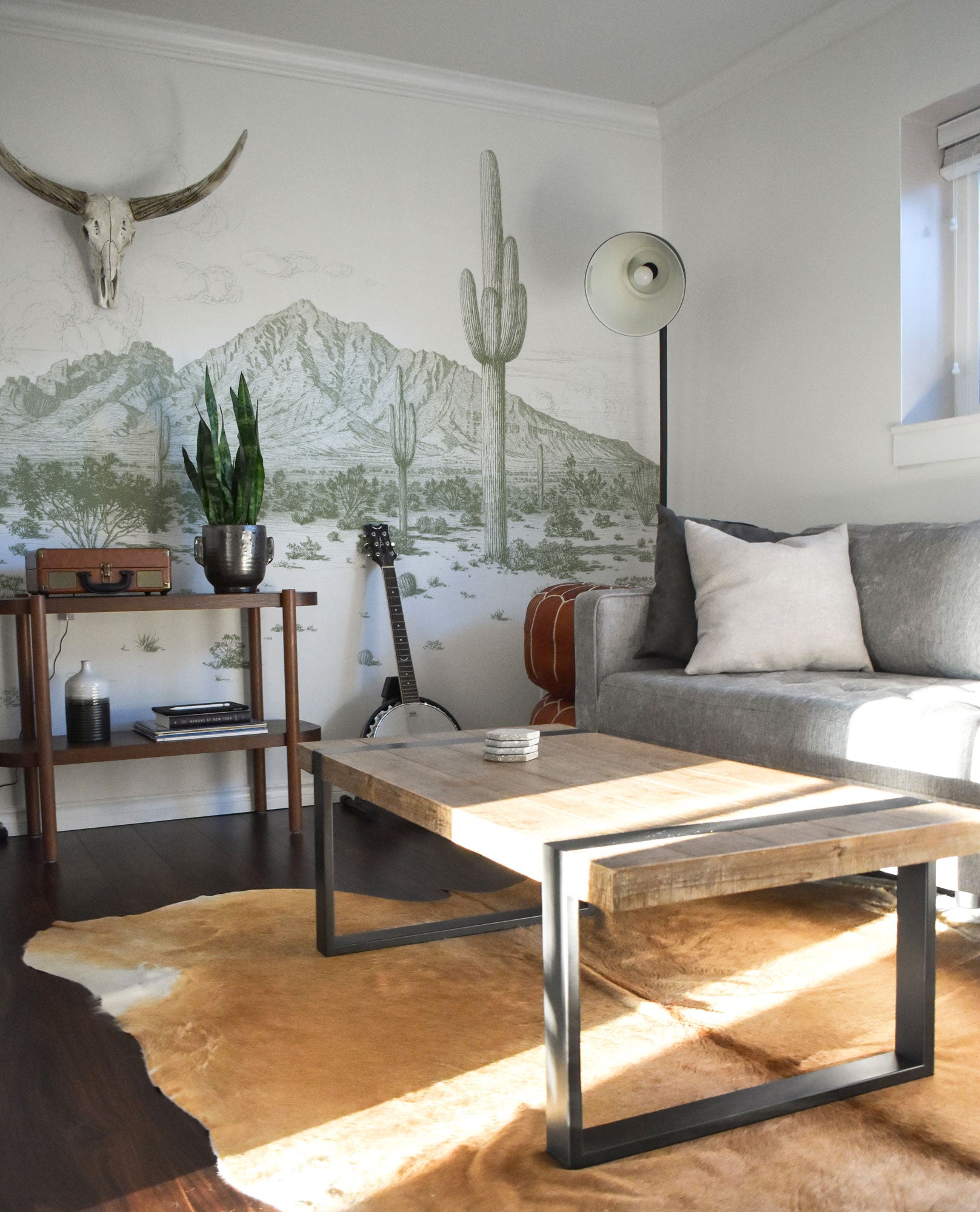 creative way to use a wall mural desert cacti wallpaper in a living room