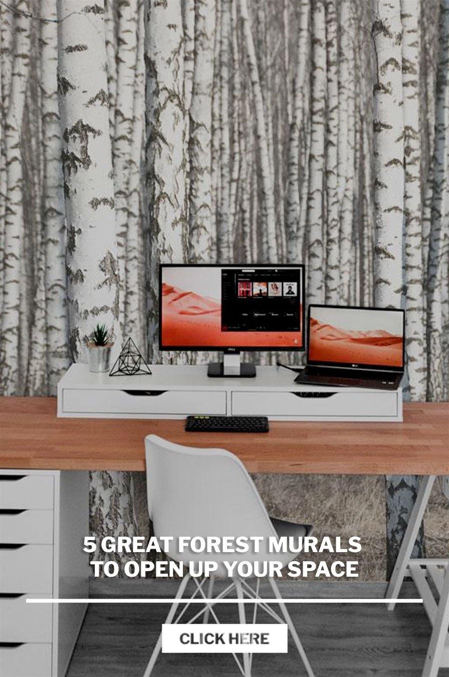 5 Great Forest Murals to Open up your Space - Eazywallz