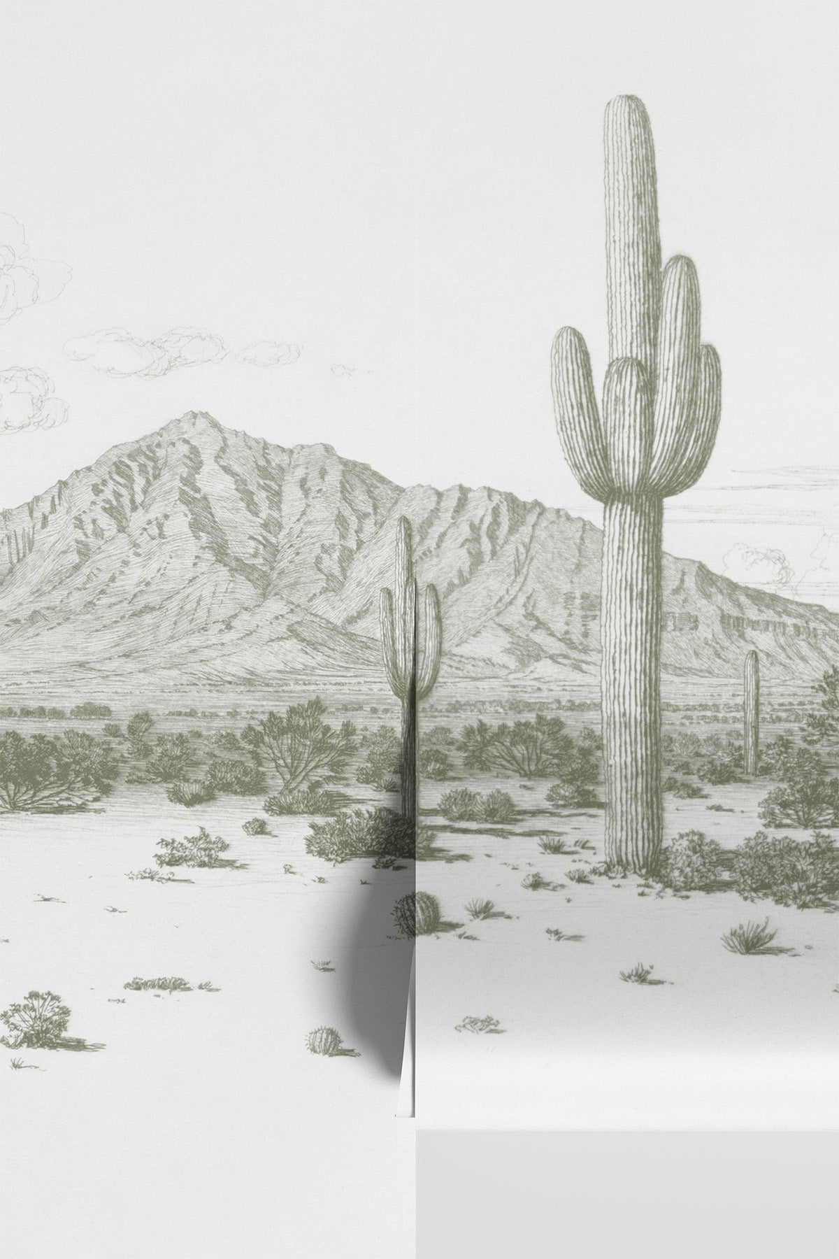 Desert Reverie Wall Mural