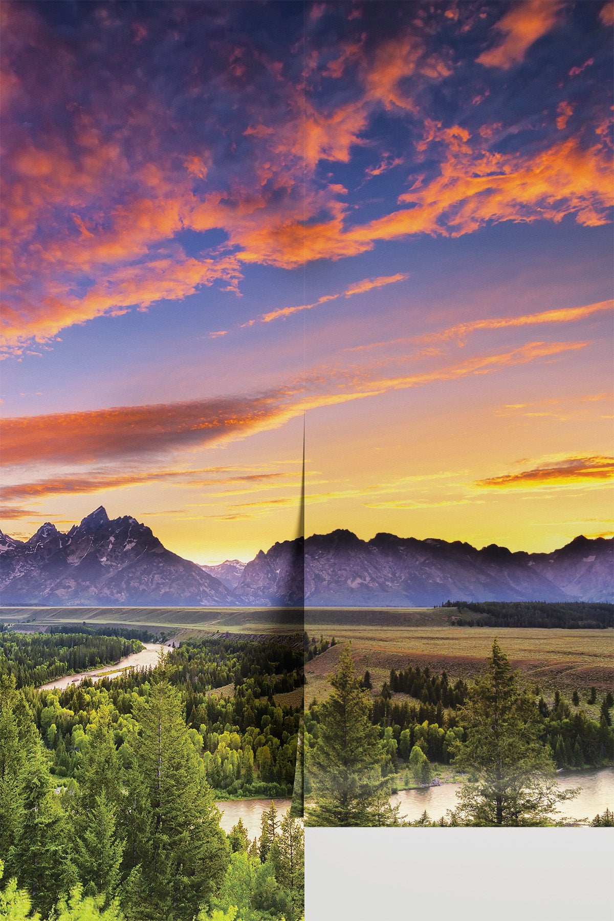 Grand Teton Wall Mural
