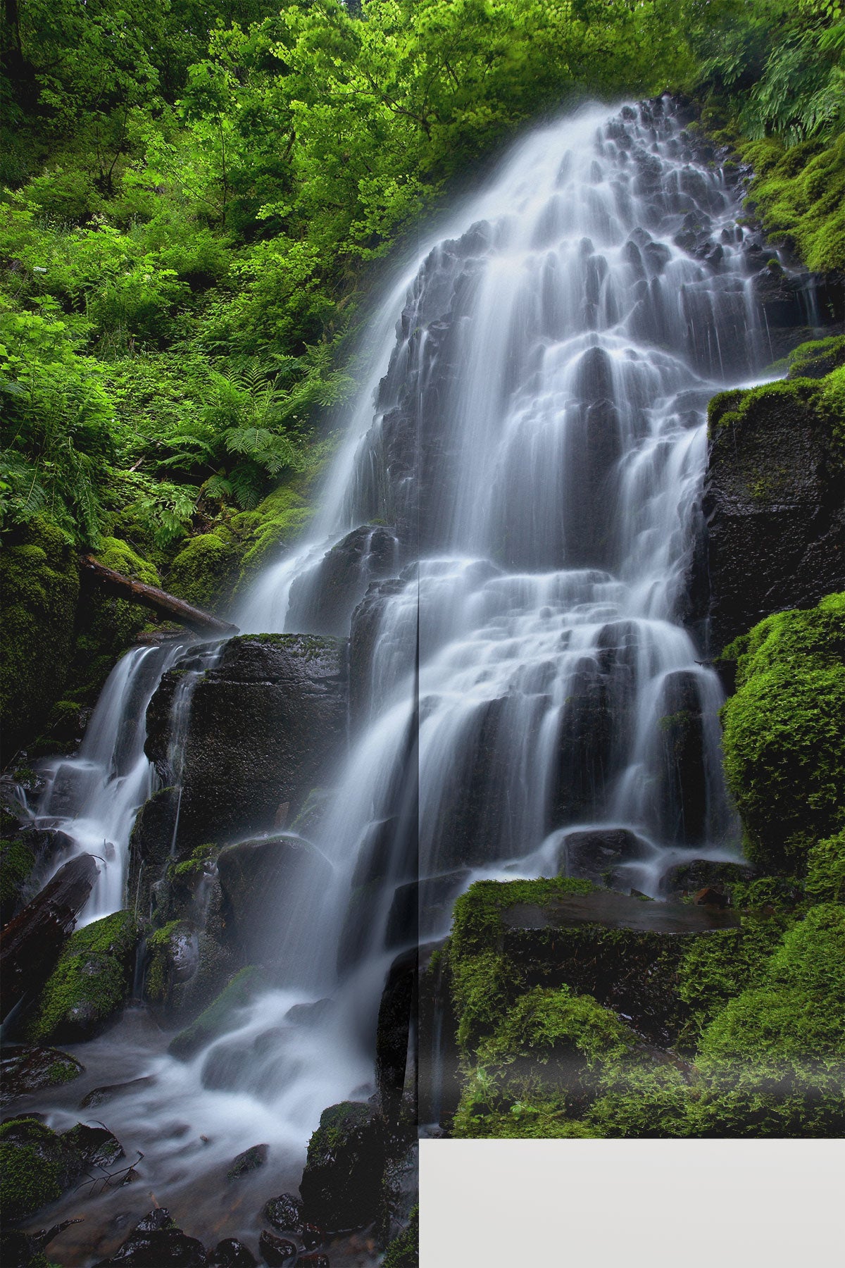 Fairy Falls Wall Mural