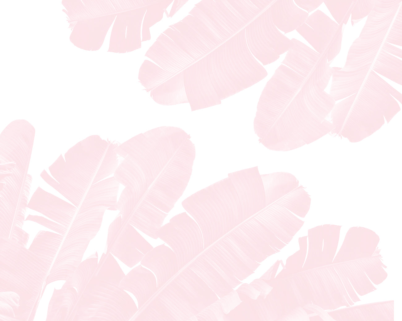 Pink Isolated Banana Leaves Wall Mural