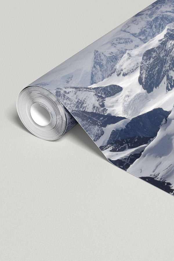 Antarctic mountains Wall Mural