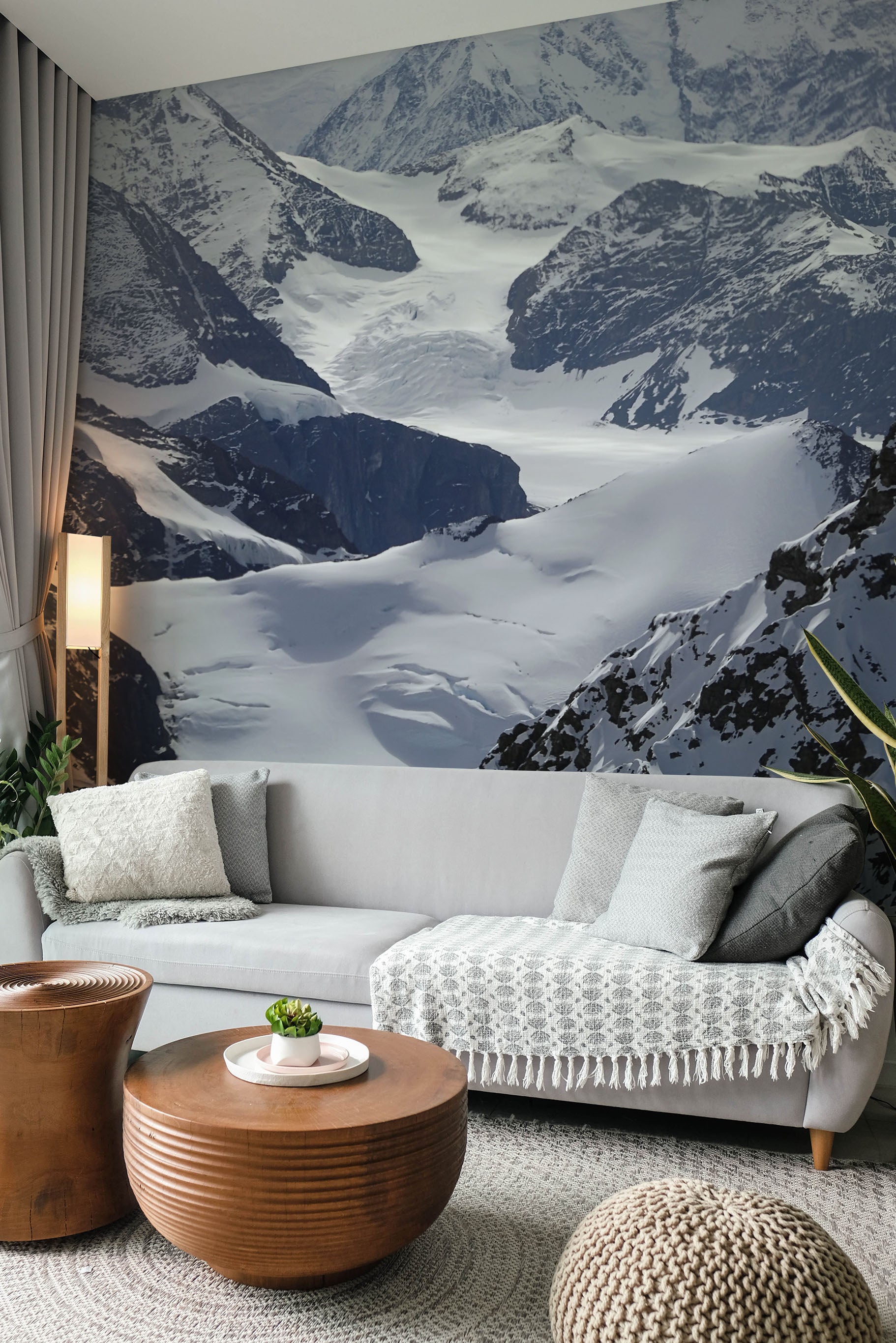Antarctic mountains Wall Mural