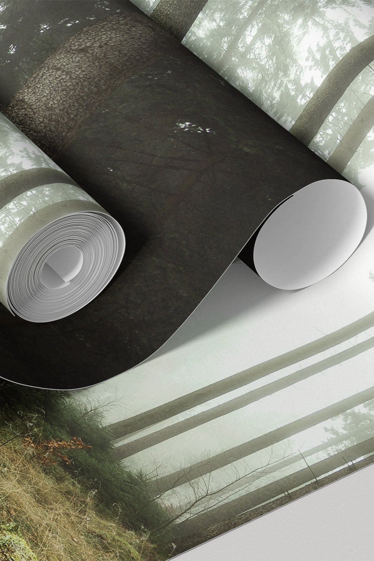 Autumn Sunrise in the Forest