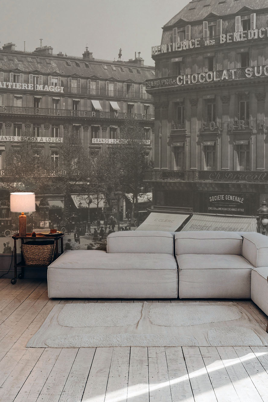 Panoramic Vintage Paris Scene Wall Mural