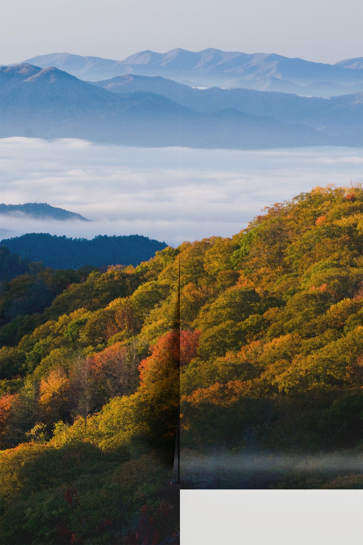 Fall colors in the Mountains Wall Mural