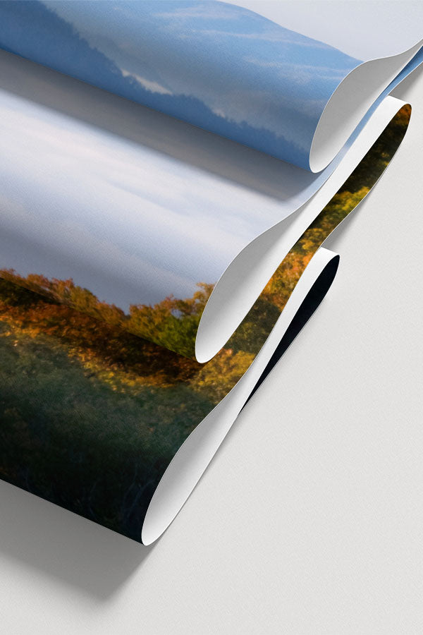 Fall colors in the Mountains Wall Mural