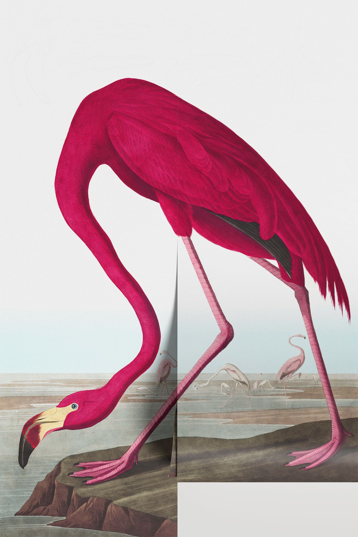 Vintage Flamingo Painting