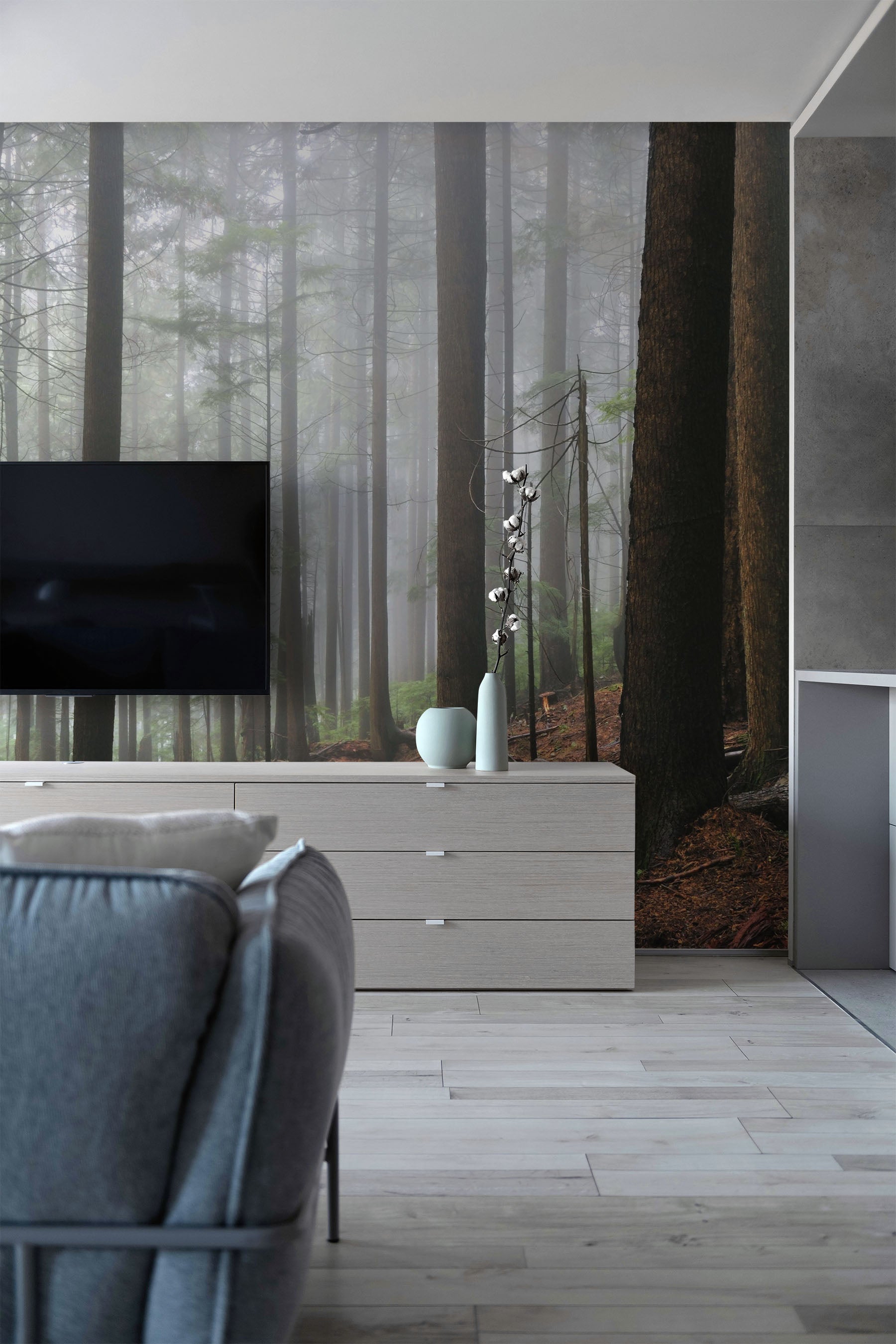 Foggy Forest & Hiking Trail Wall Mural