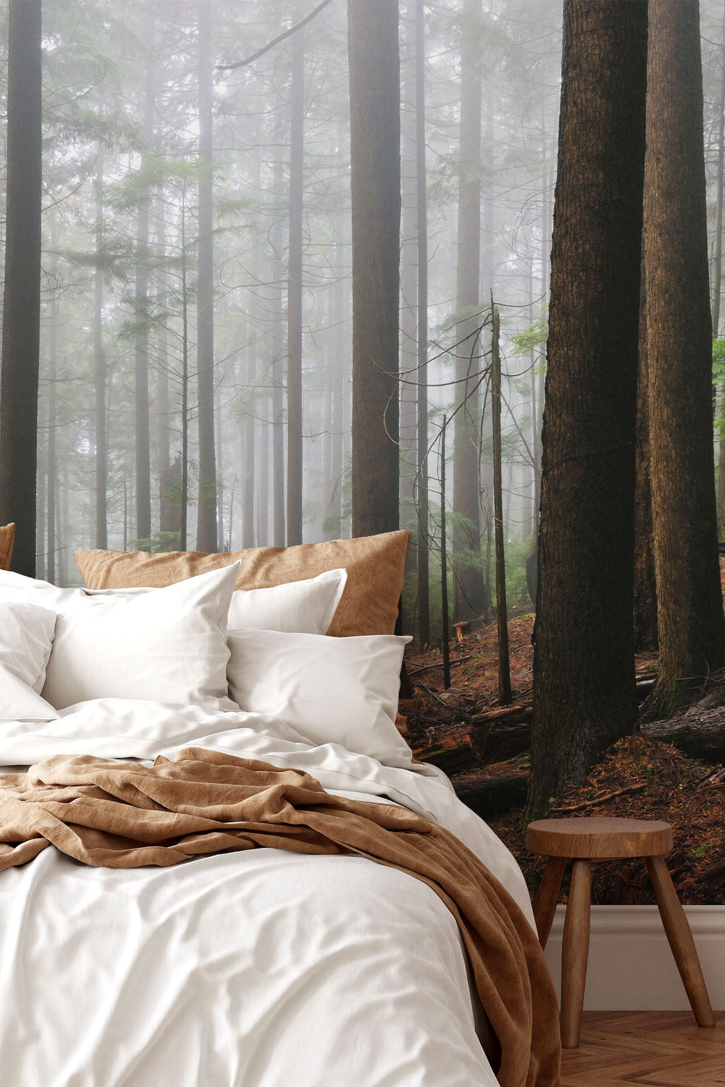 Foggy Forest & Hiking Trail Wall Mural