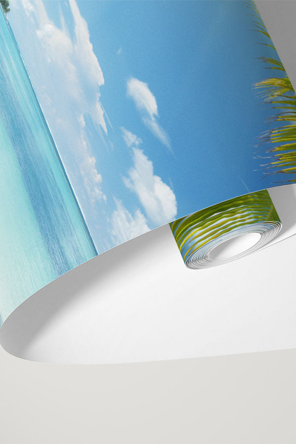 Coconut palms in sunlight Wall Mural