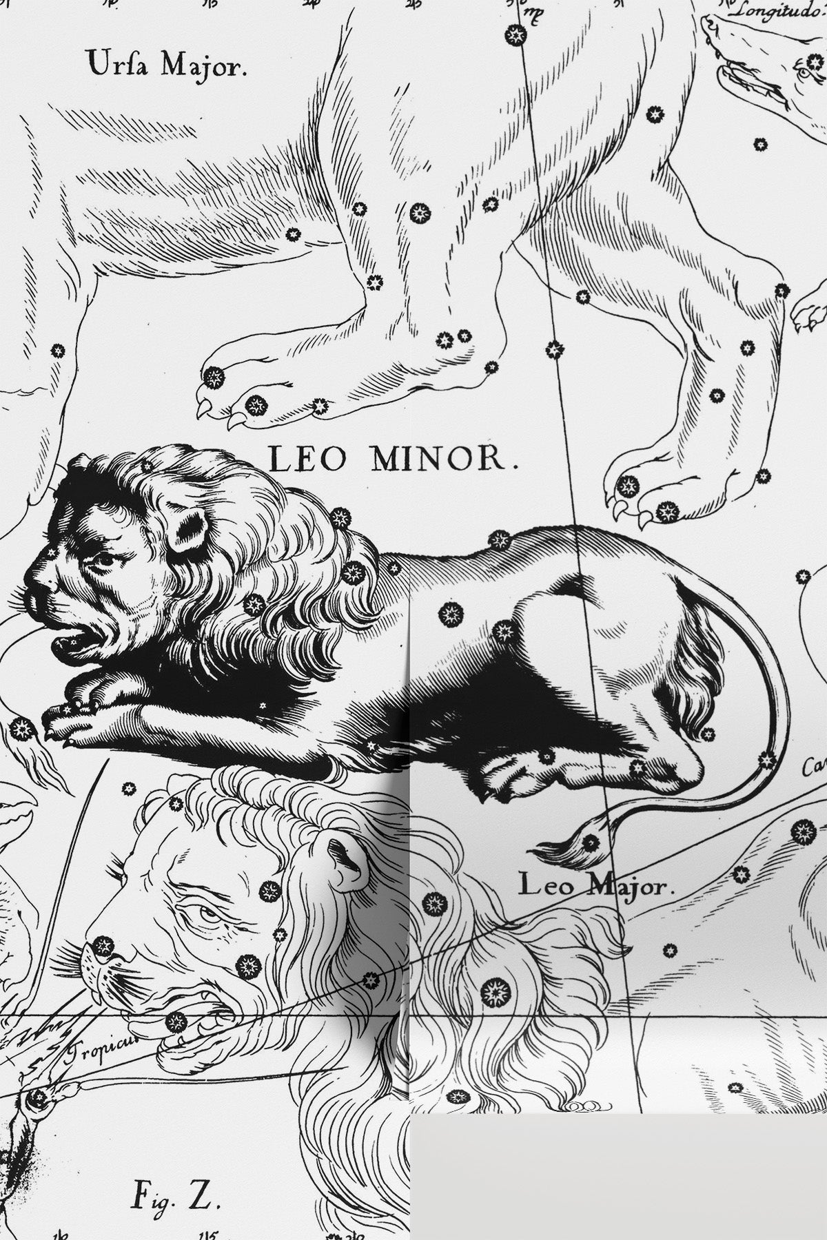 Leo Constellation Map