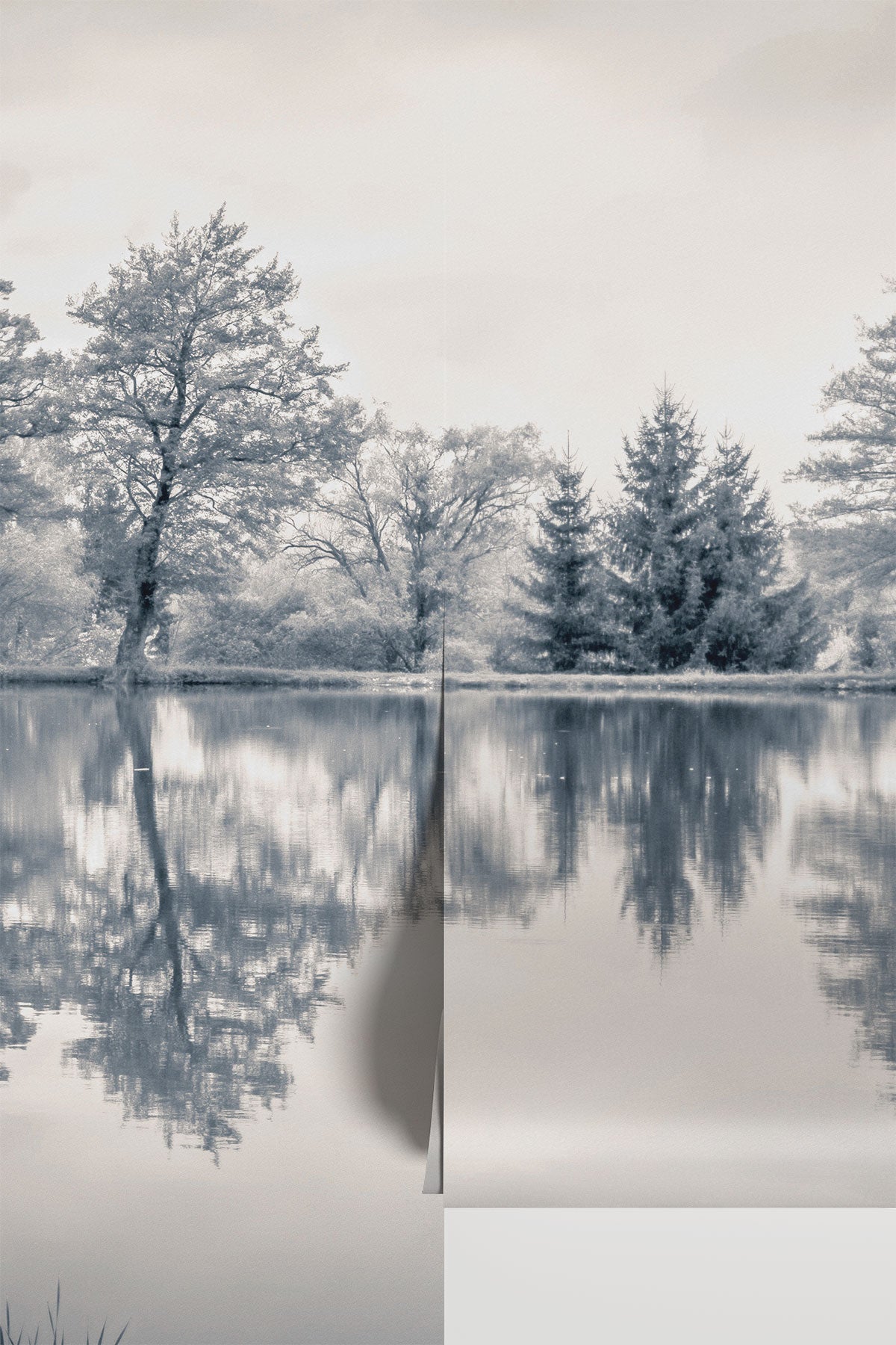 Serene Lakeside Haven