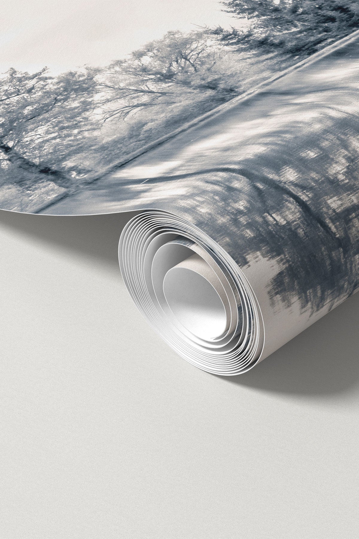 Serene Lakeside Haven Panoramic Wall Mural