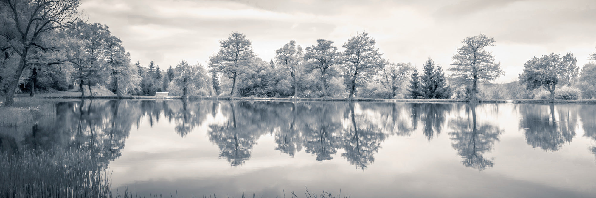 Serene Lakeside Haven Panoramic Wall Mural