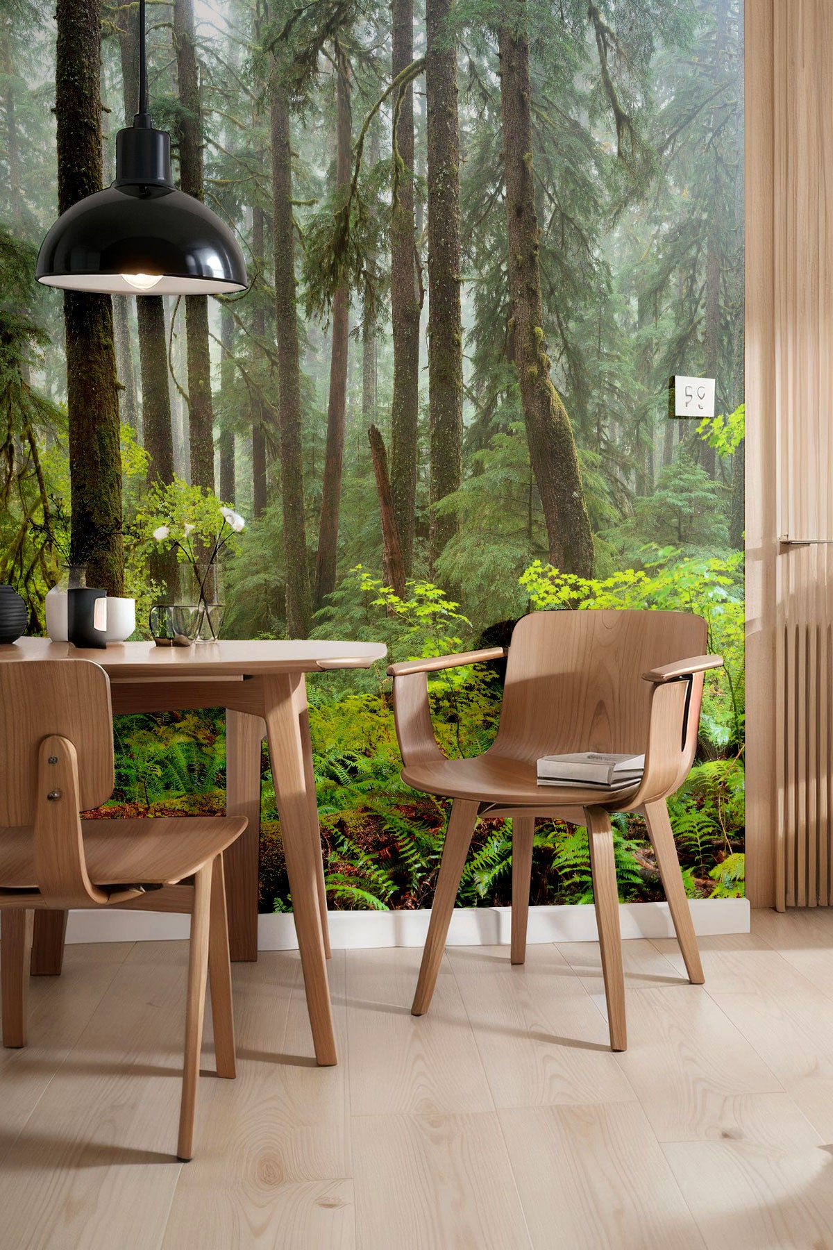 Hoh Panoramic Rain Forest