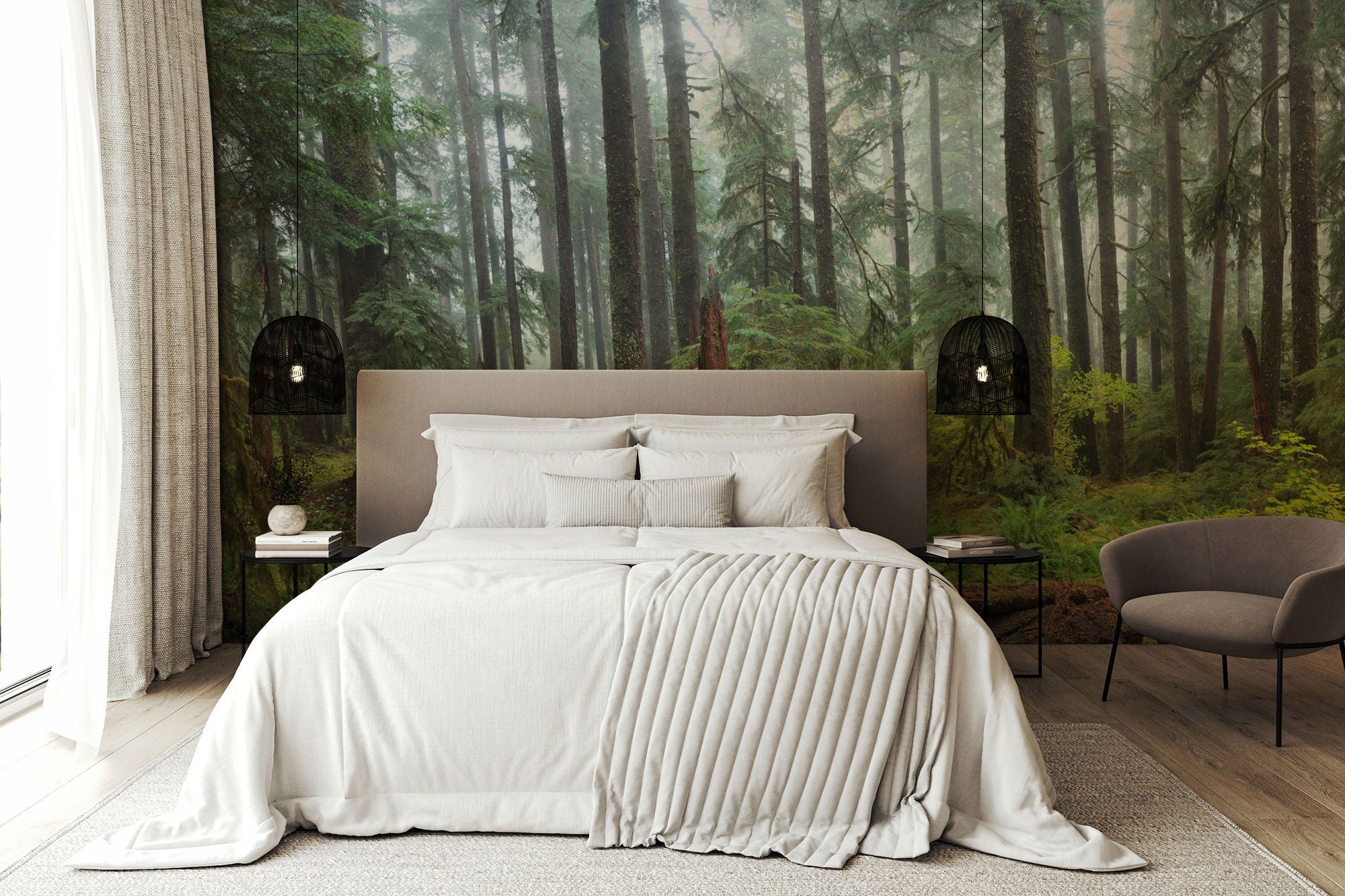 Hoh Panoramic Rain Forest