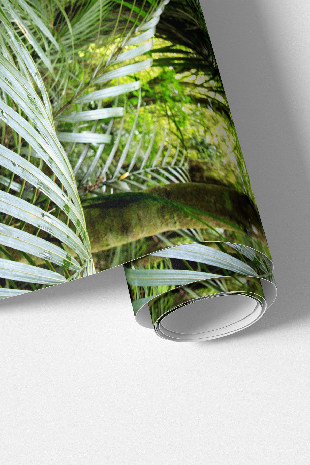 Tropical Palm Detail