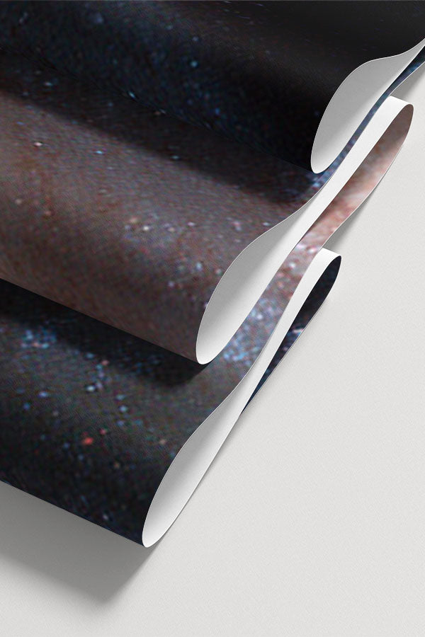 Barred Spiral Galaxy