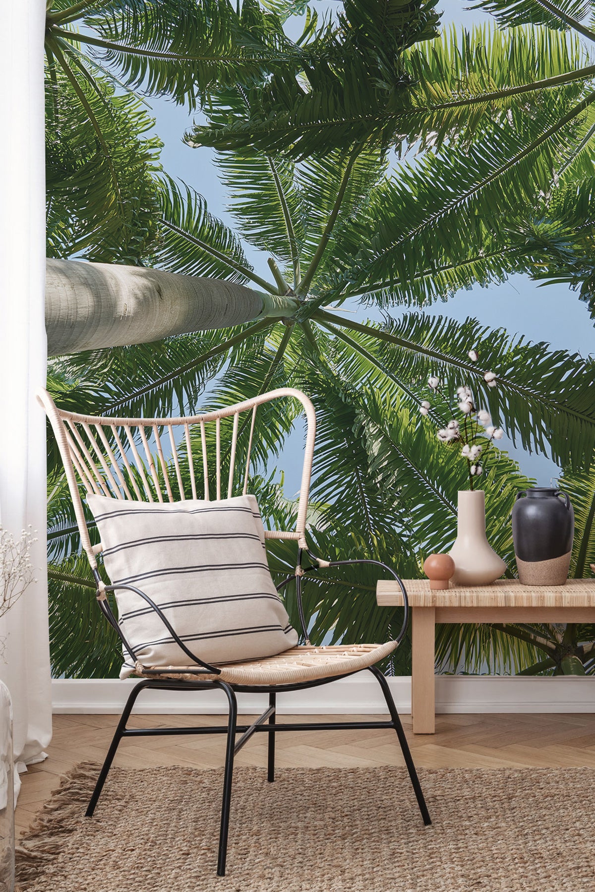 Tropical Canopy