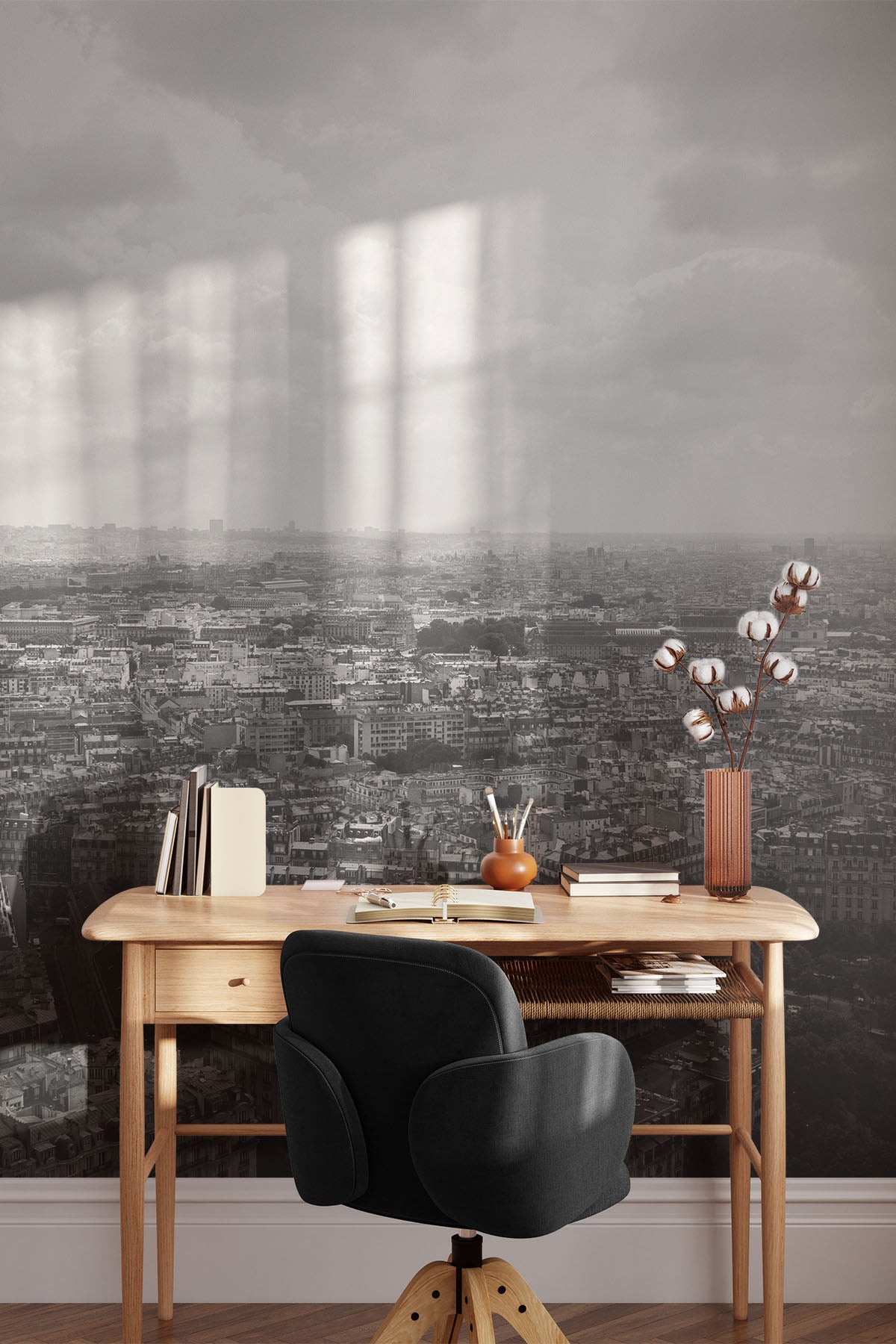 Black and White View of Paris