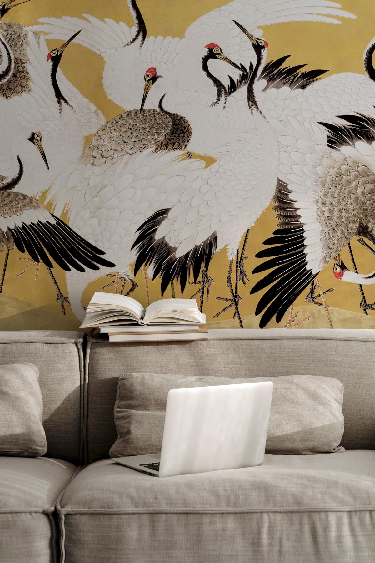 Flock of Elegant Japanese Cranes