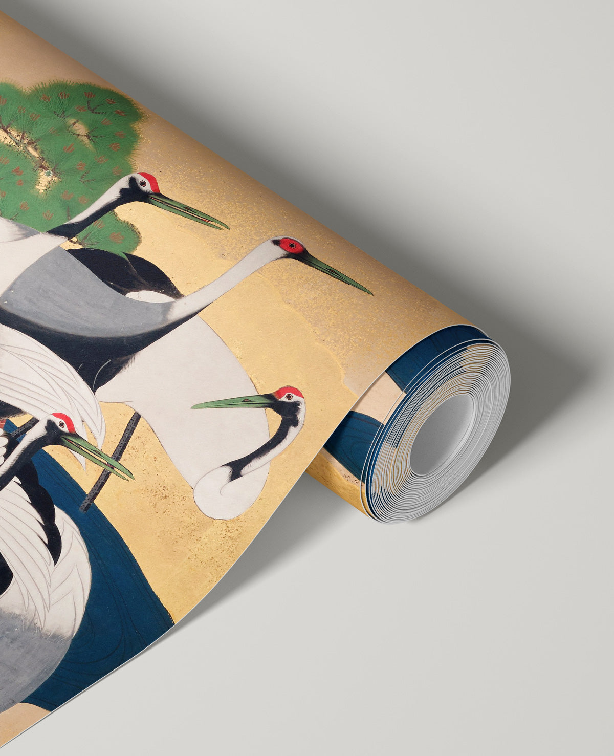 Graceful Flight of Japanese Cranes