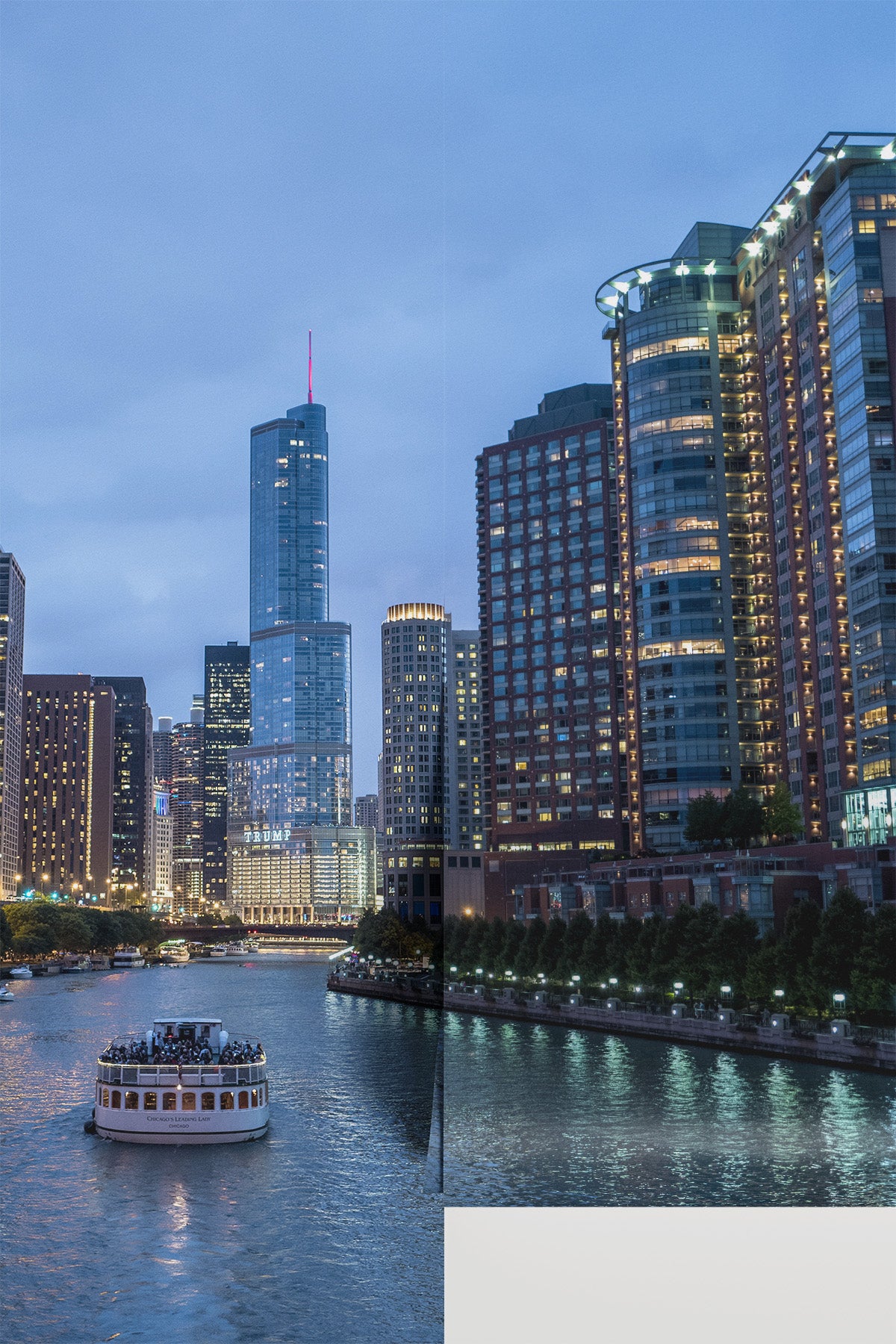 Chicago Skyline at Night