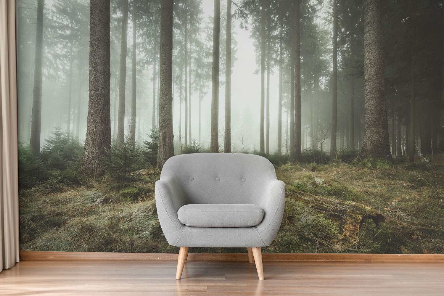 Autumn Sunrise in the Forest Wall Mural