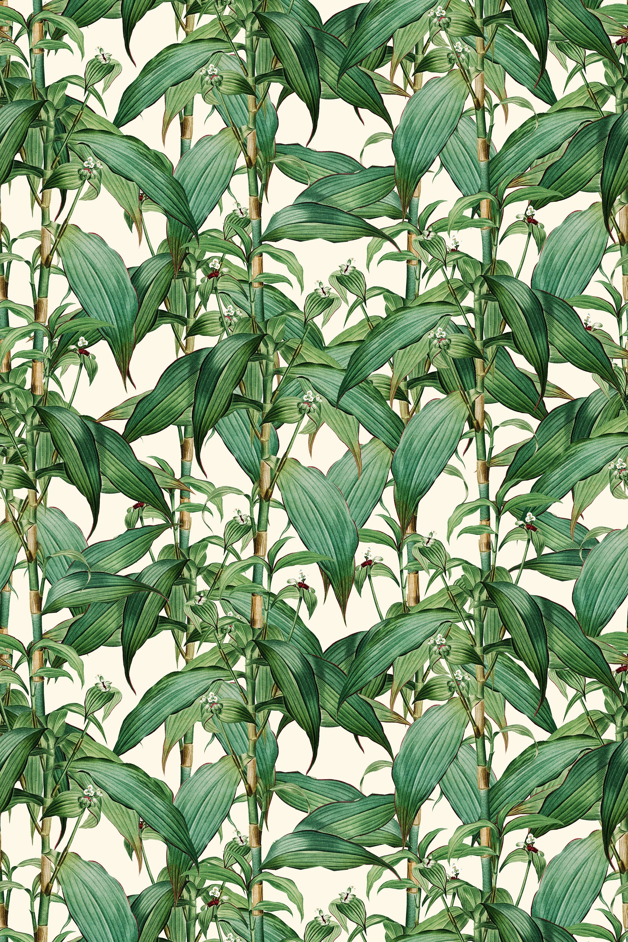 Detail of Arashiyama Wallpaper