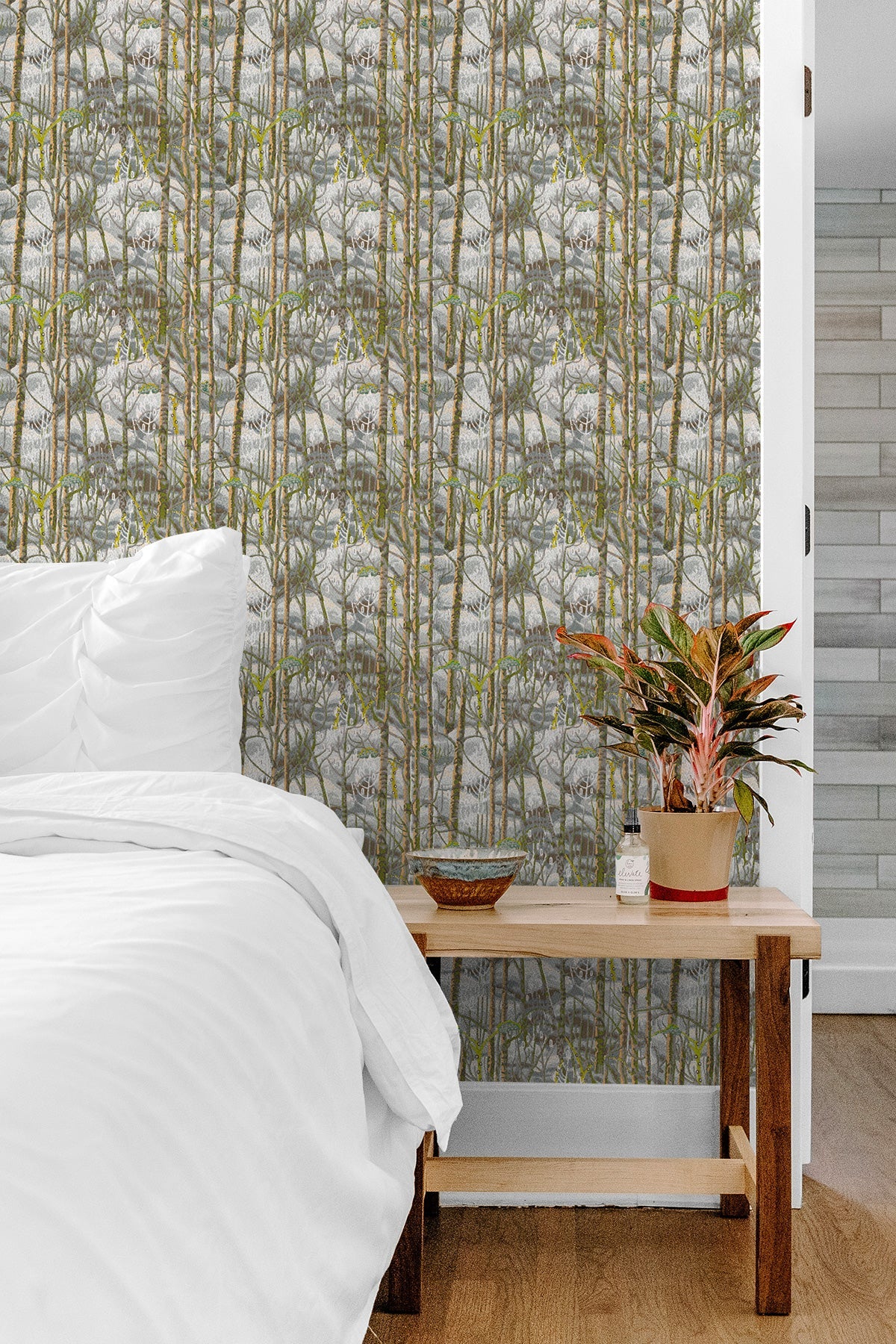 Birch Forest / Yellow