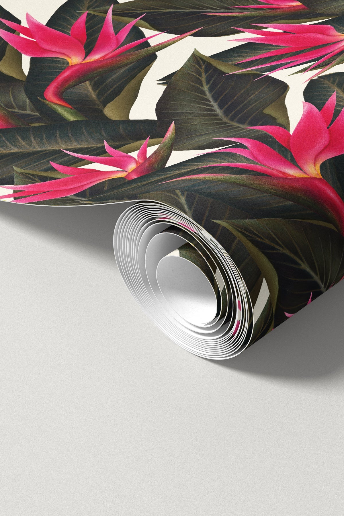 Birds of Paradise / Fuchsia