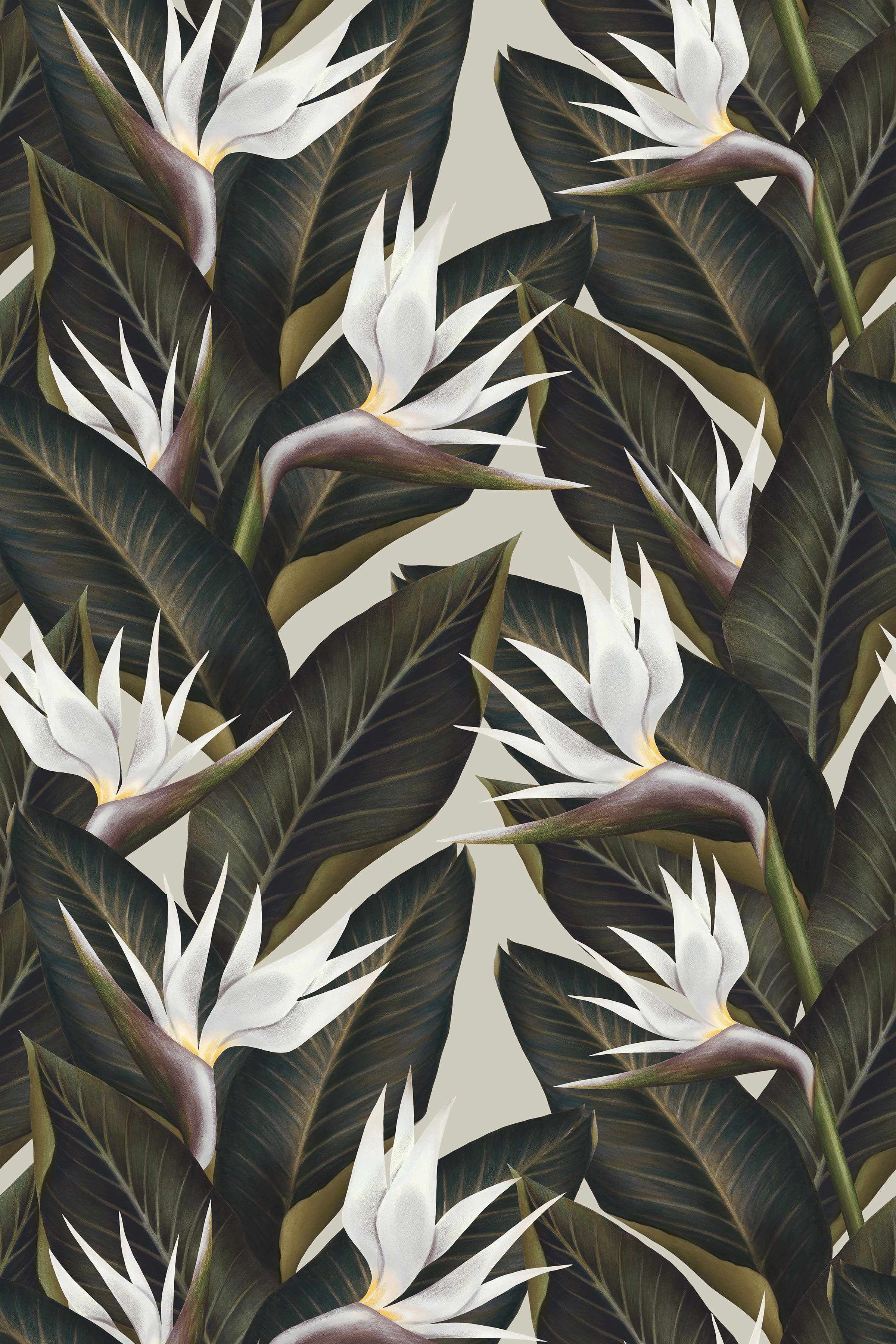 Birds of Paradise / White