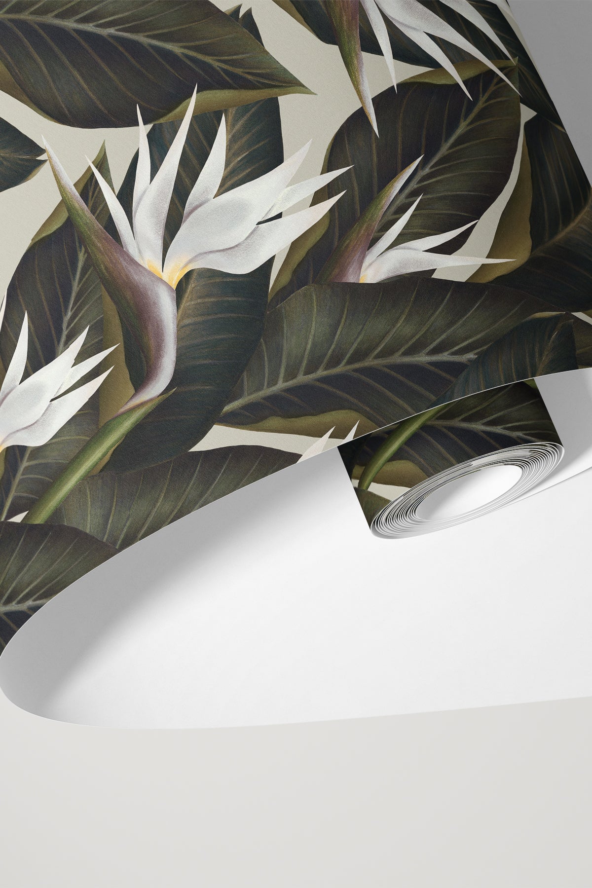 Birds of Paradise / White