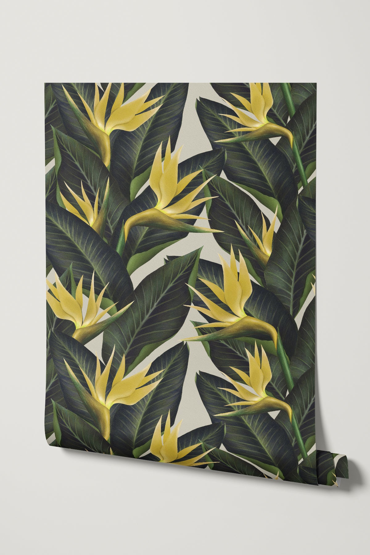Birds of Paradise Wallpaper - Tropical Wallpaper for home - Eazywallz