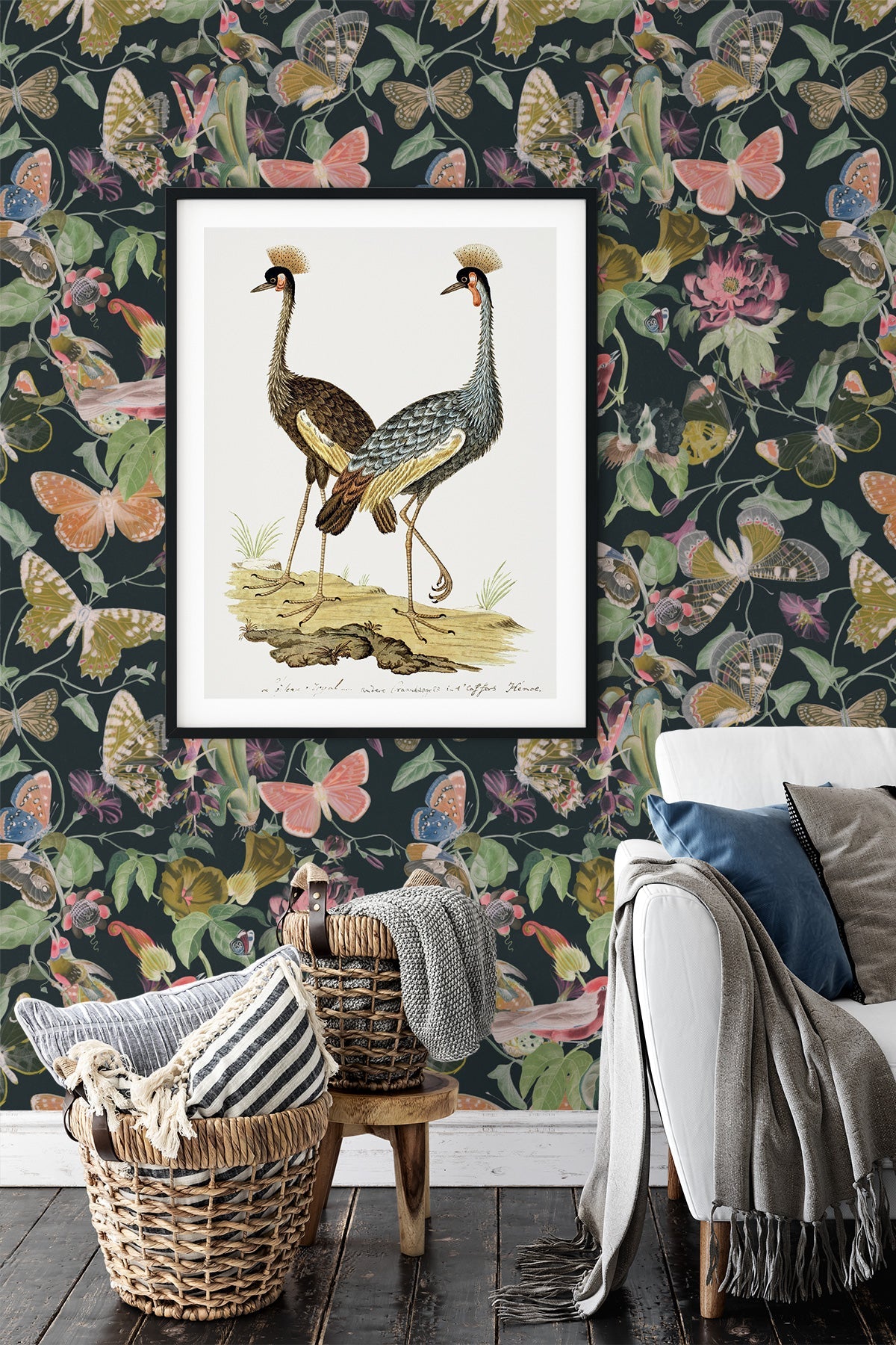 Butterfly Kingdom / Dark