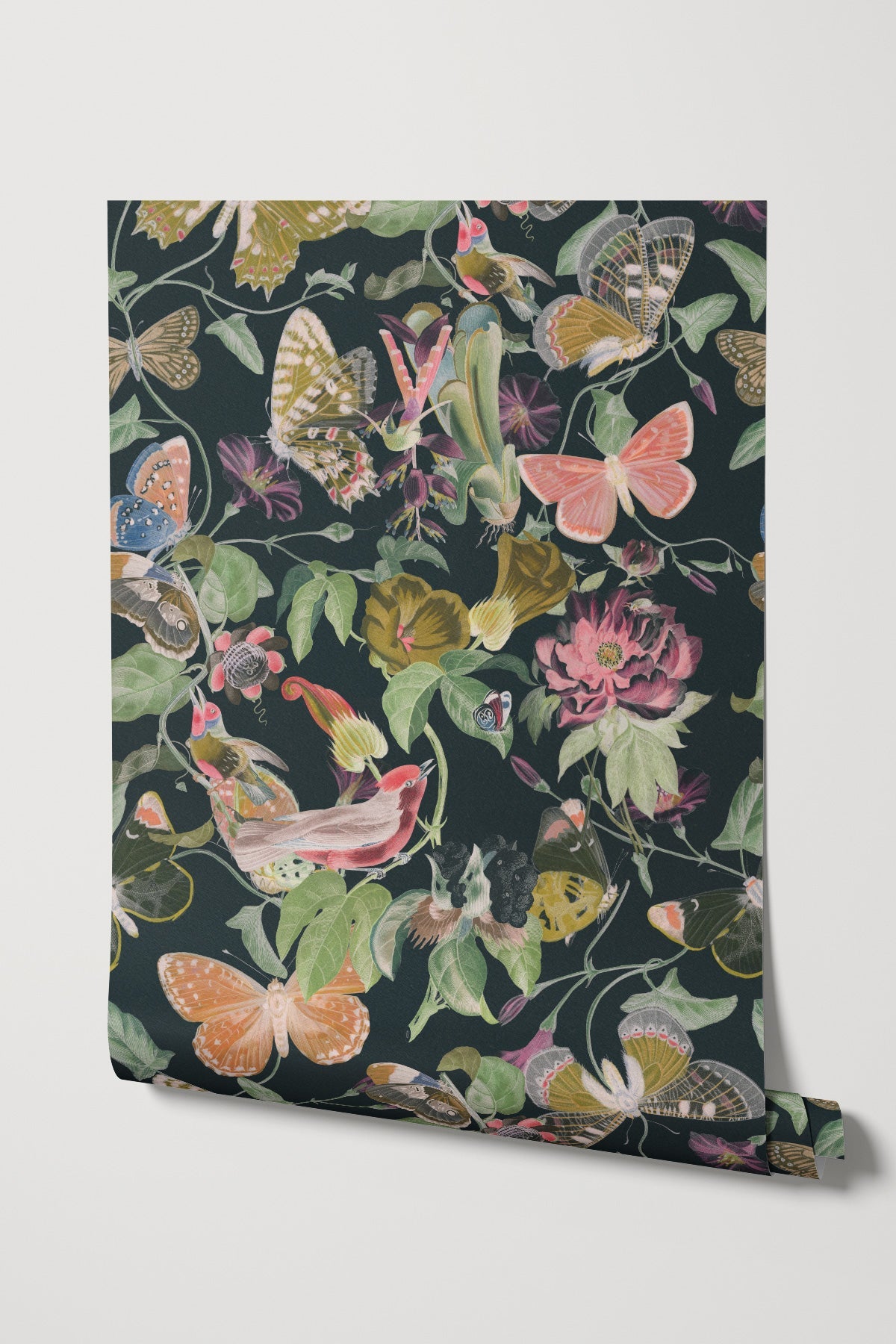 Butterfly Kingdom / Dark