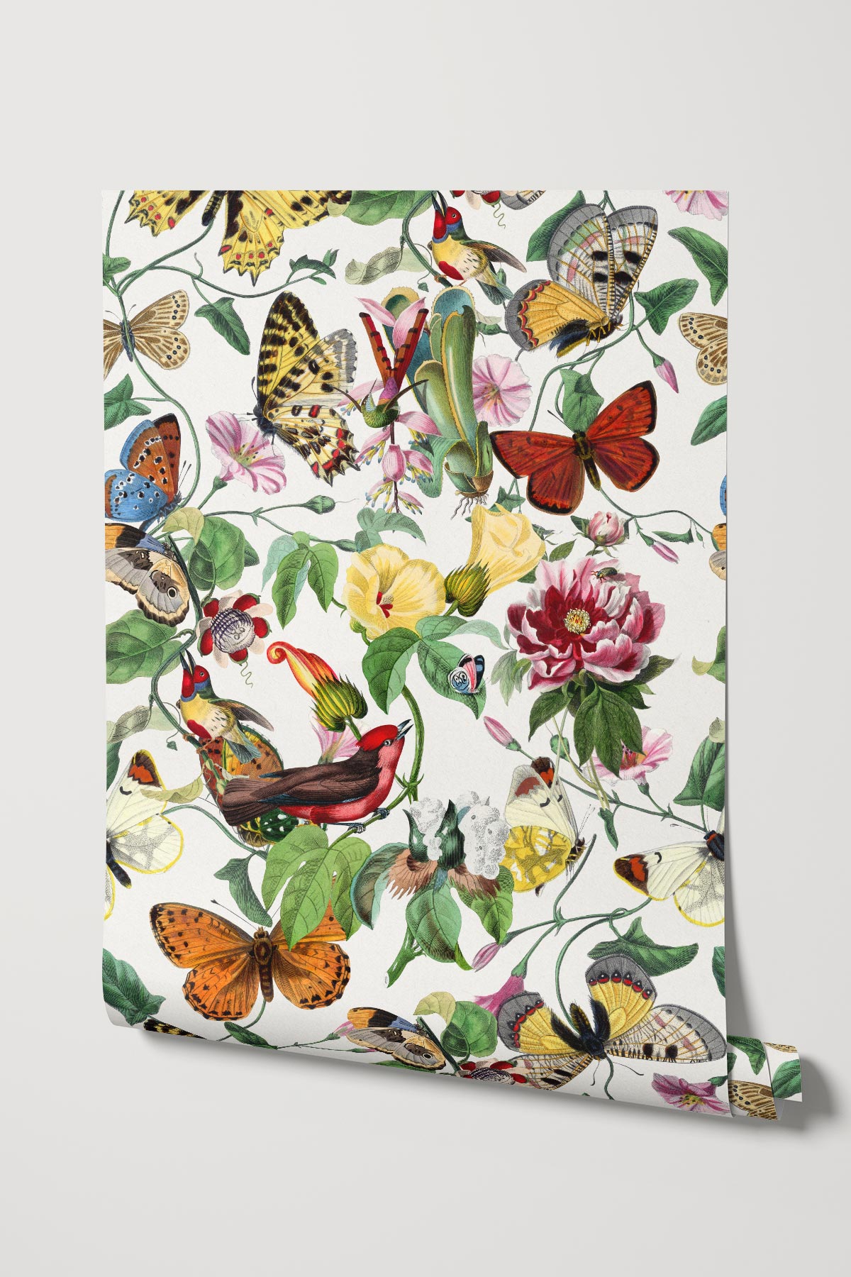 Butterfly Kingdom / Multi