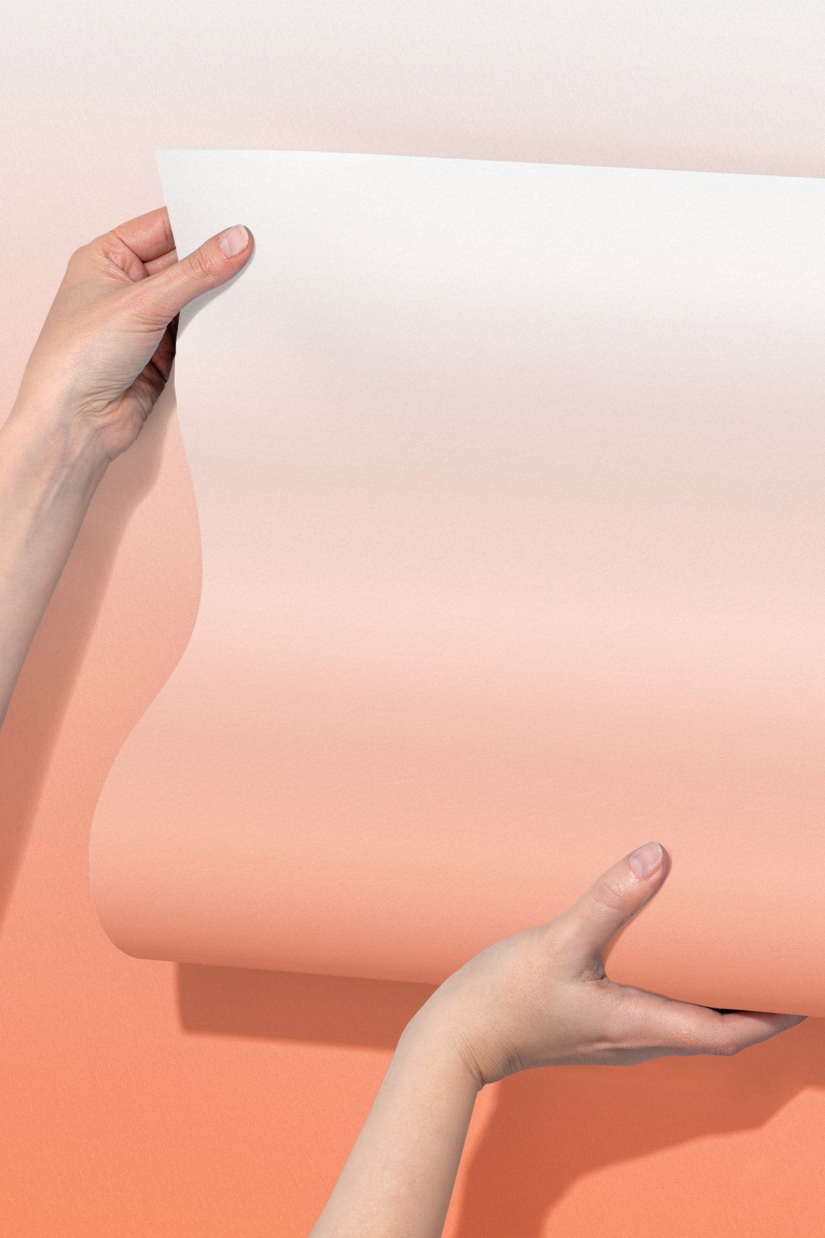 Closeup of Cantaloupe Wallpaper