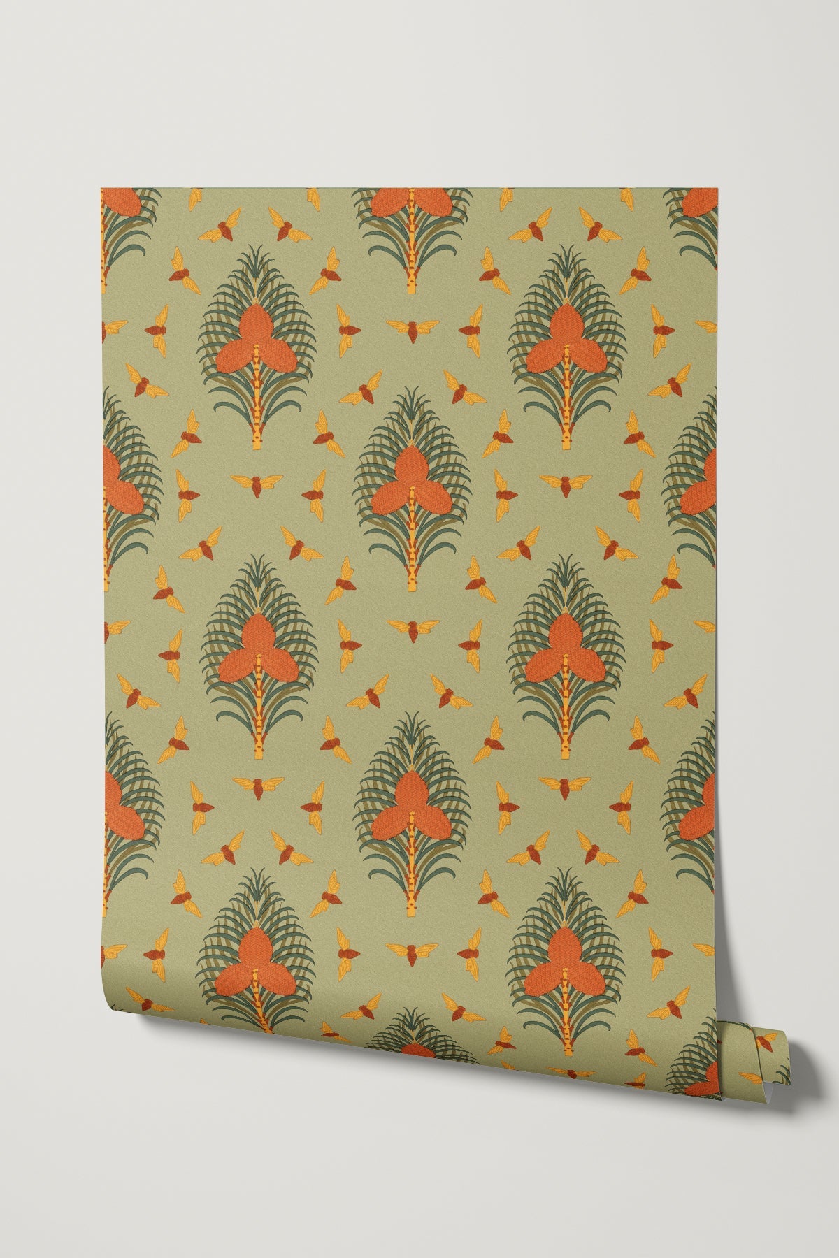 Cigales et Pins / Khaki