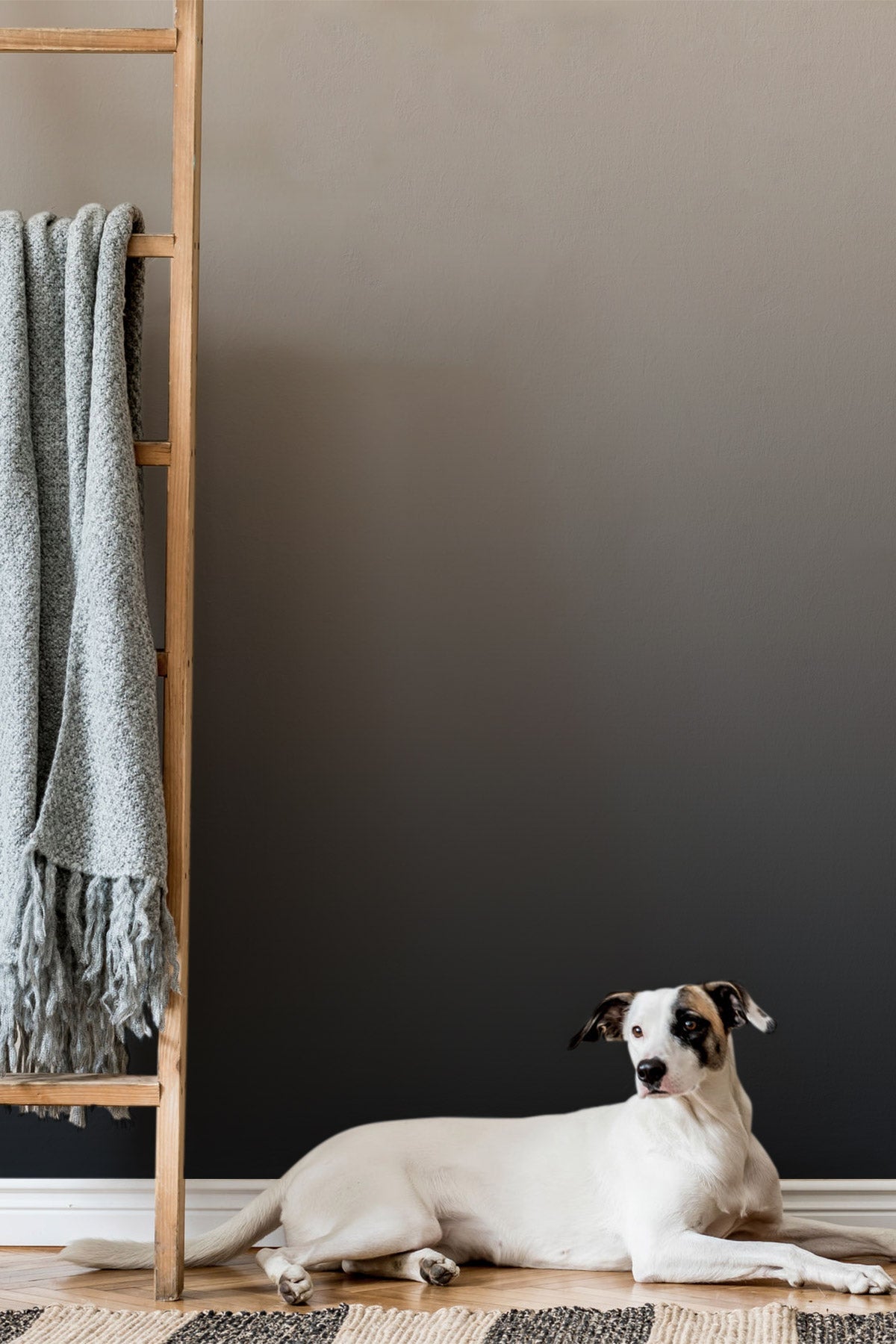 Cold Steel Wallpaper showcased in a room