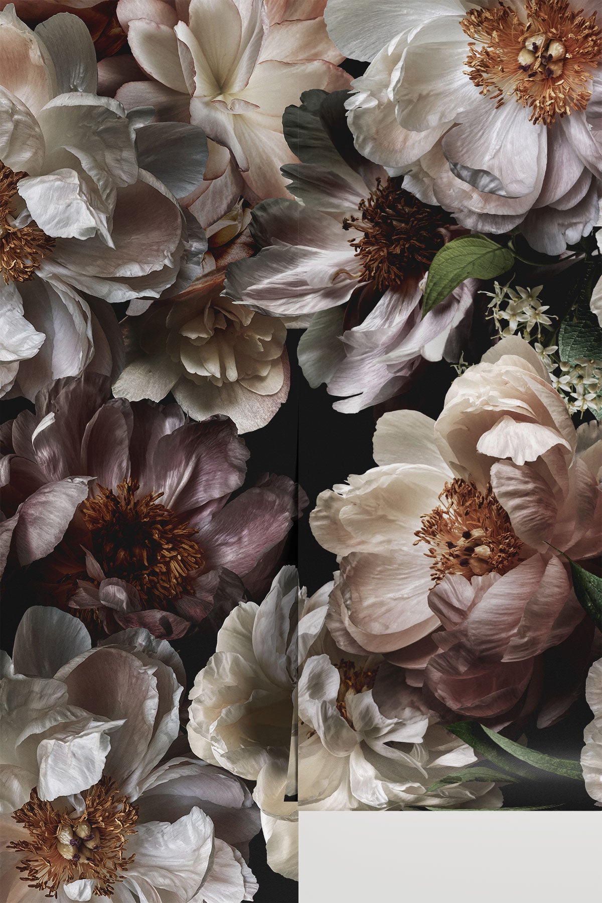 Midnight Floral / Vol 3