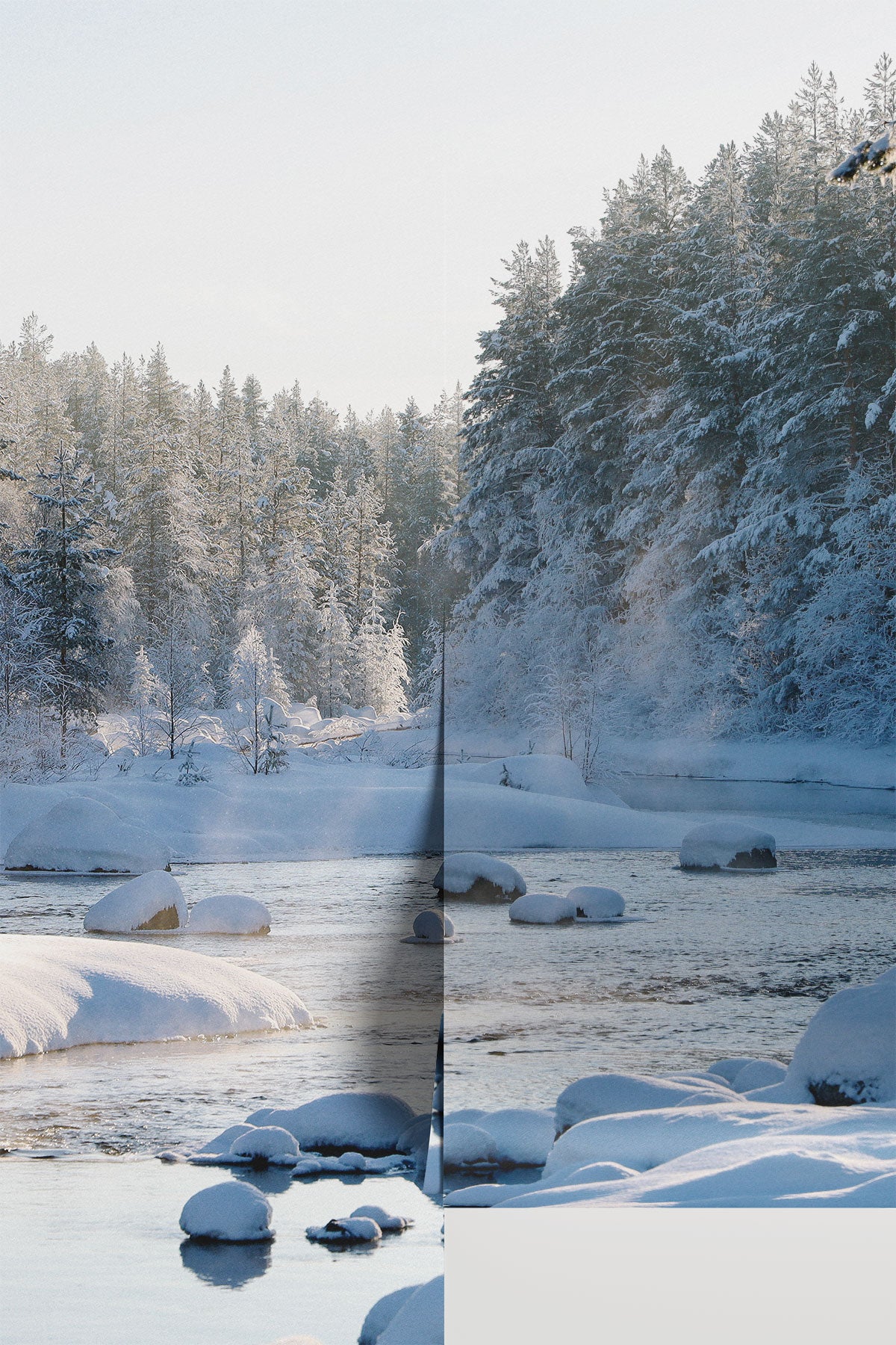 Enchanting Winter Landscape