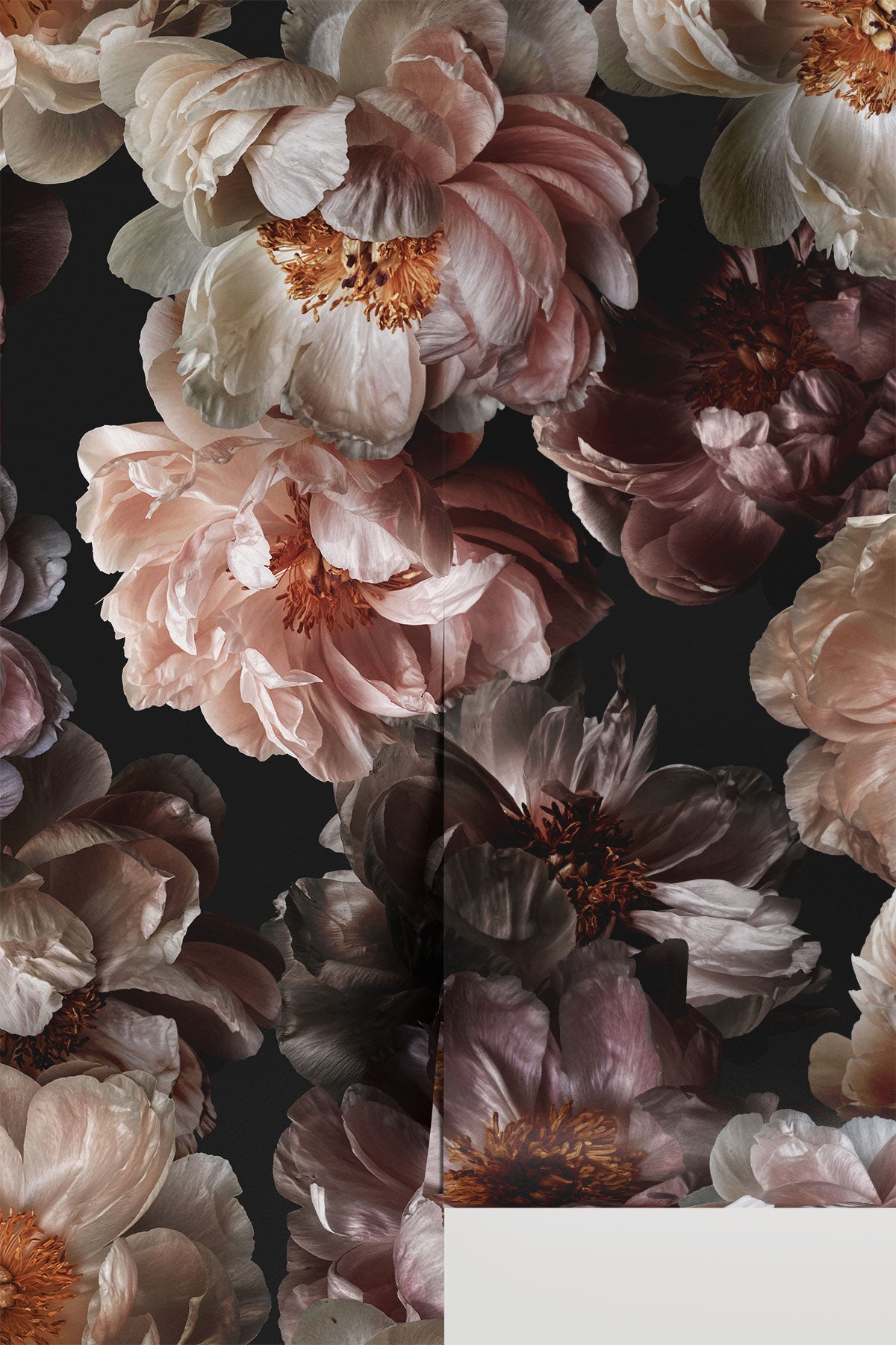 Midnight Floral / Vol 1