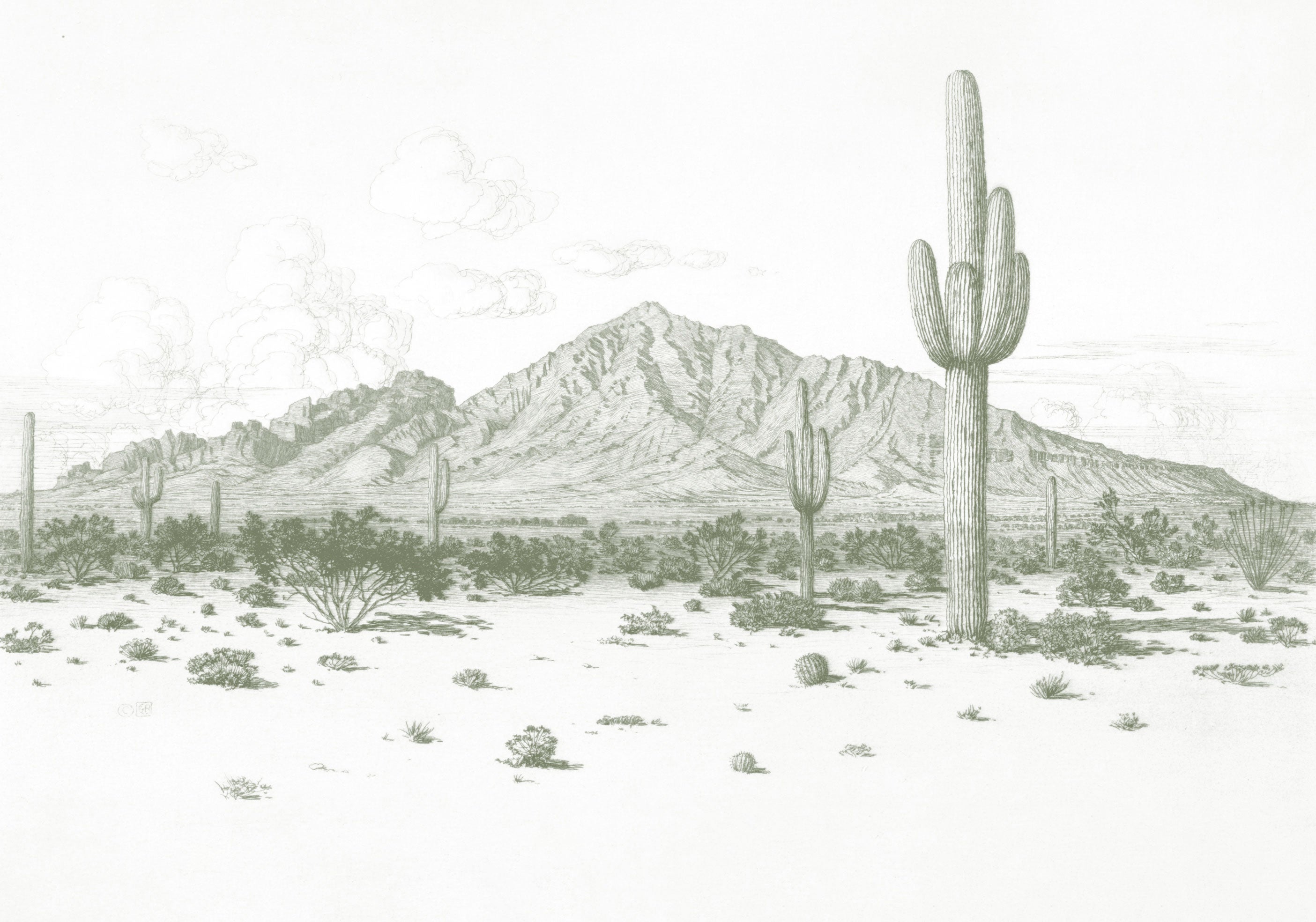 Desert Reverie Wall Mural