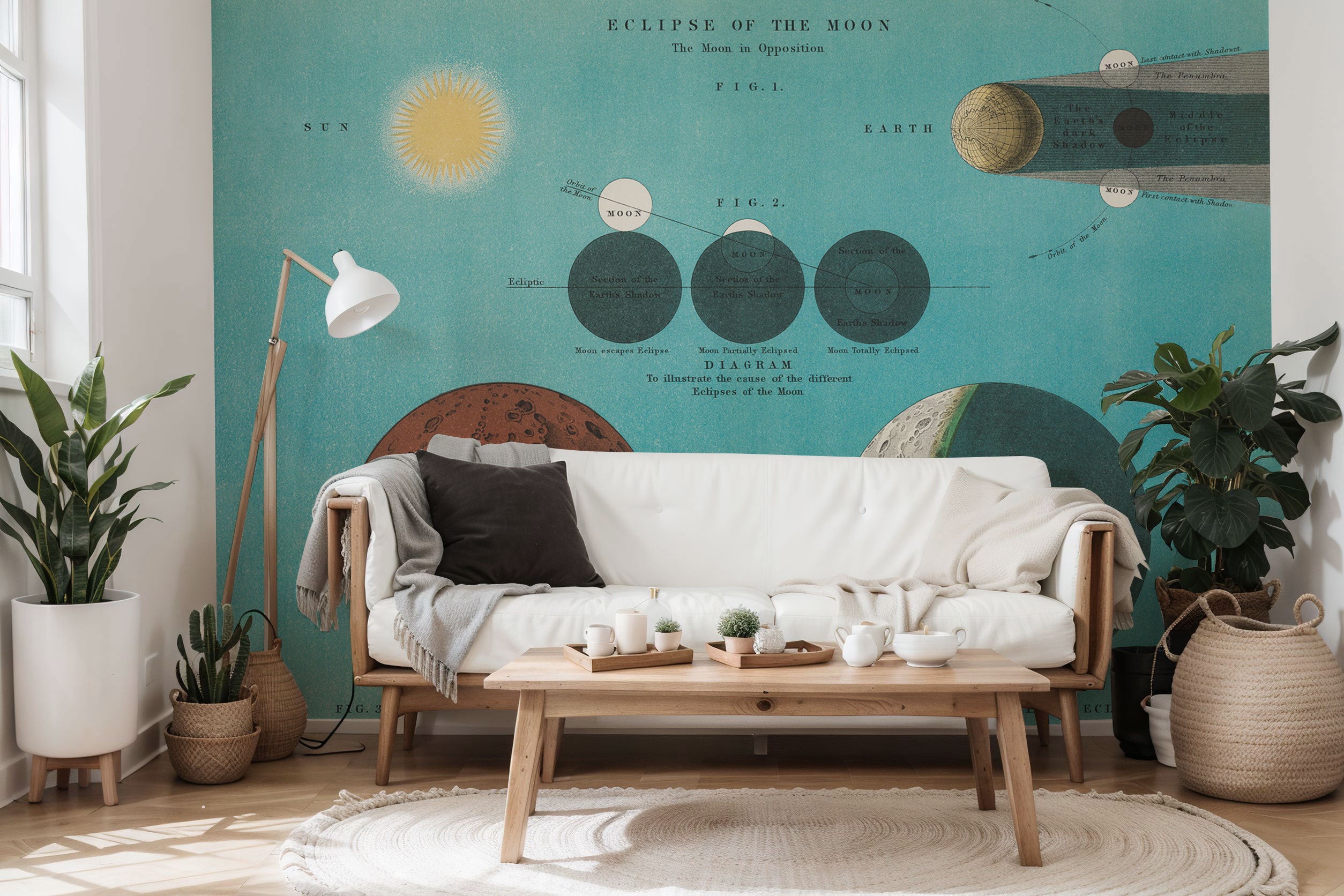 Eclipse of the Moon Wall Mural