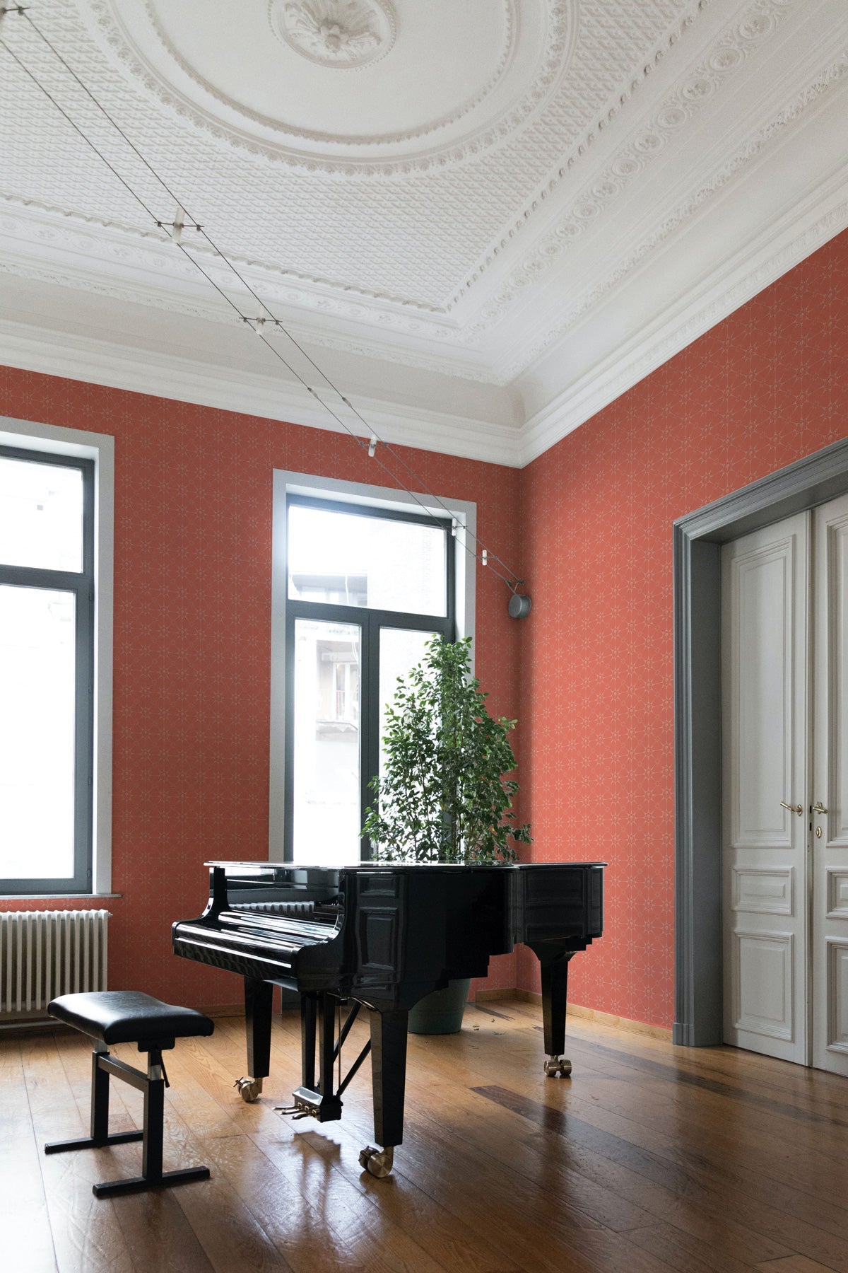 Eiffel Tower Stars / Coral