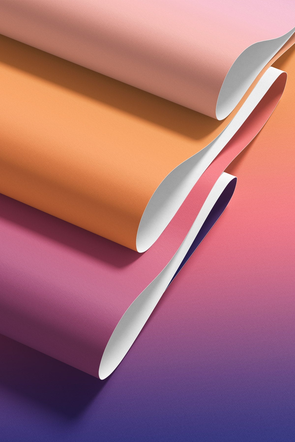 Closeup of Electric Sunrise Wallpaper